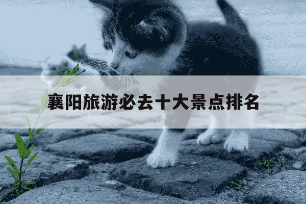 襄阳旅游必去十大景点排名-襄阳旅游必去十大景点排名有哪些-第1张图片-学习推荐网