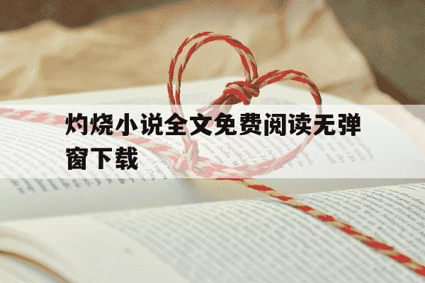 灼烧小说全文免费阅读无弹窗下载-灼烧 txt-第1张图片-学习推荐网
