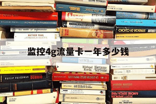 监控4g流量卡一年多少钱-监控4g流量卡一年多少钱啊-第1张图片-学习推荐网