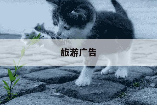 旅游广告-旅游广告语-第1张图片-学习推荐网