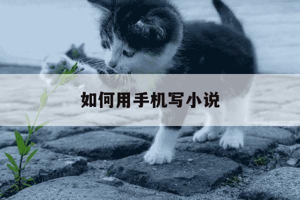 如何用手机写小说-怎样拿手机写小说-第1张图片-学习推荐网