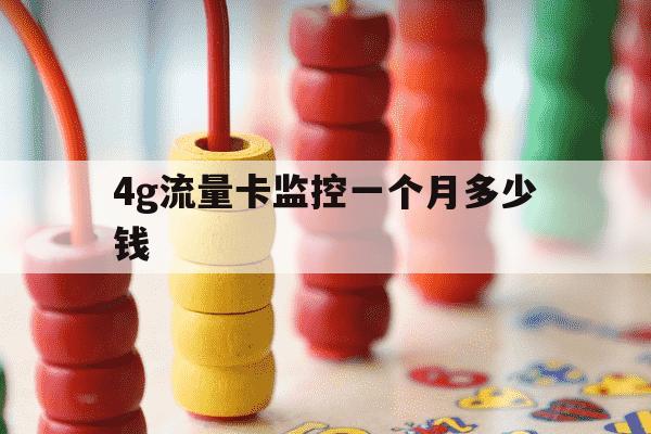 4g流量卡监控一个月多少钱-自带流量卡的监控器一个月多少钱-第1张图片-学习推荐网
