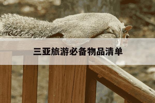 三亚旅游必备物品清单-三亚最忌穿这6种衣服-第1张图片-学习推荐网