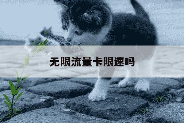 无限流量卡限速吗-无限流量卡限速吗怎么解除-第1张图片-学习推荐网 无限流量卡限速吗-无限流量卡限速吗怎么解除-第1张图片-学习推荐网