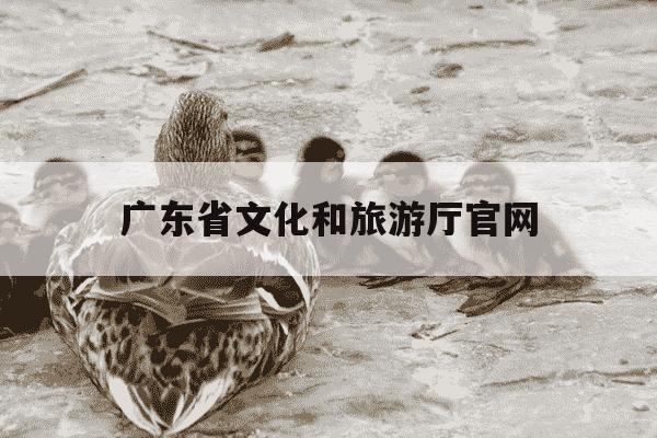 广东省文化和旅游厅官网-广东省文化和旅游厅官网招聘公告-第1张图片-学习推荐网