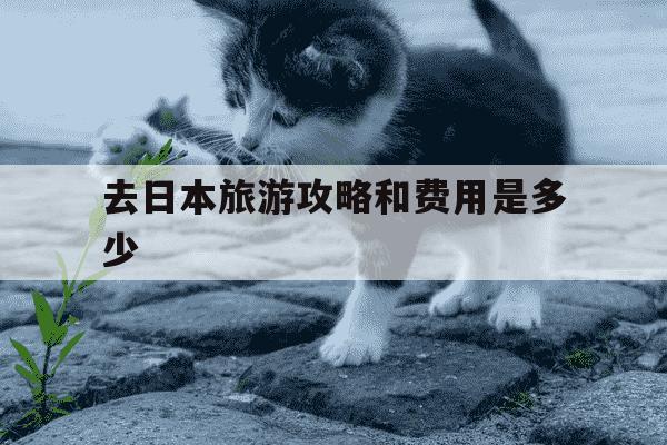 去日本旅游攻略和费用是多少-去日本旅游需要准备多少钱-第1张图片-学习推荐网