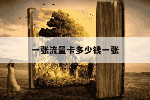一张流量卡多少钱一张-一张流量卡多少钱一张,移动-第1张图片-学习推荐网 一张流量卡多少钱一张-一张流量卡多少钱一张,移动-第1张图片-学习推荐网