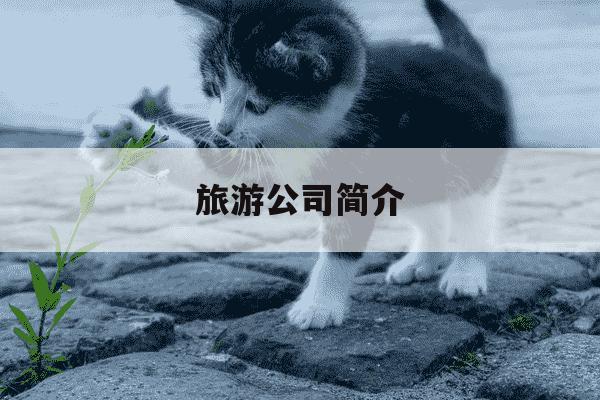 旅游公司简介-盈科旅游公司简介-第1张图片-学习推荐网 旅游公司简介-盈科旅游公司简介-第1张图片-学习推荐网