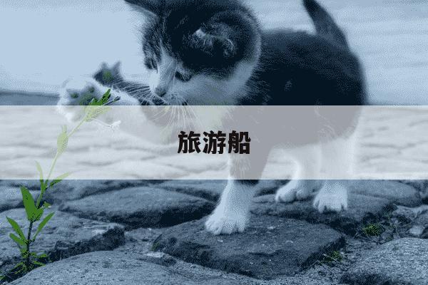 旅游船-旅游船制造-第1张图片-学习推荐网 旅游船-旅游船制造-第1张图片-学习推荐网