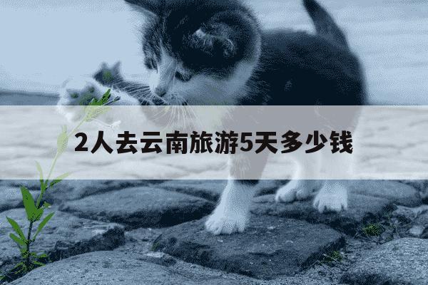 2人去云南旅游5天多少钱-两人去云南玩一个星期要多少钱-第1张图片-学习推荐网 2人去云南旅游5天多少钱-两人去云南玩一个星期要多少钱-第1张图片-学习推荐网