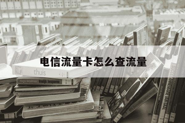 电信流量卡怎么查流量-电信流量卡怎么查流量?-第1张图片-学习推荐网