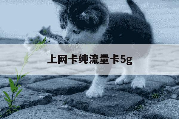 上网卡纯流量卡5g-上网卡纯流量卡怎么用-第1张图片-学习推荐网