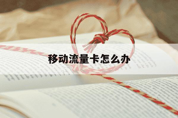 移动流量卡怎么办-移动流量卡怎么办理,怎么使用-第1张图片-学习推荐网 移动流量卡怎么办-移动流量卡怎么办理,怎么使用-第1张图片-学习推荐网