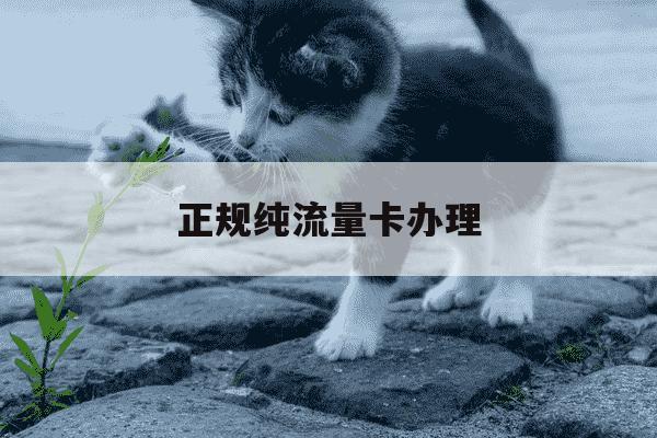 正规纯流量卡办理-正规纯流量卡办理多少钱-第1张图片-学习推荐网 正规纯流量卡办理-正规纯流量卡办理多少钱-第1张图片-学习推荐网