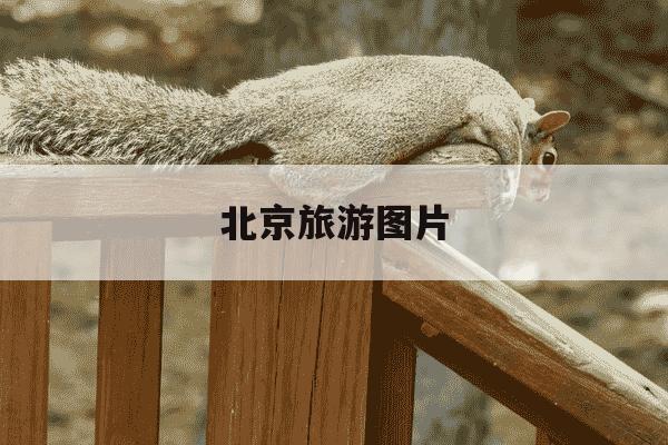 北京旅游图片-北京旅游图片配文字-第1张图片-学习推荐网 北京旅游图片-北京旅游图片配文字-第1张图片-学习推荐网