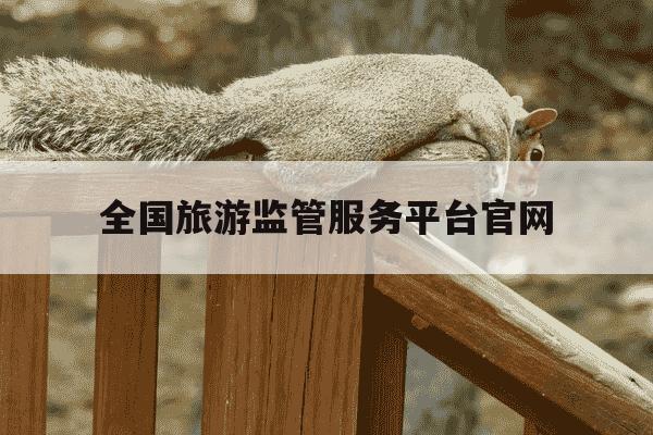 全国旅游监管服务平台官网-导游证报名入口官网-第1张图片-学习推荐网