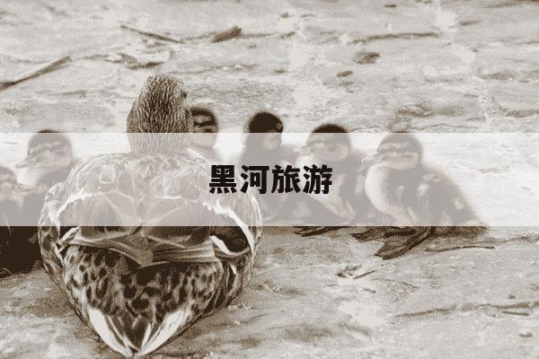 黑河旅游-黑河旅游攻略必去景点推荐-第1张图片-学习推荐网