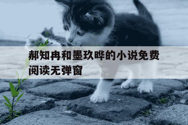 郝知冉和墨玖晔的小说免费阅读无弹窗-赫知冉墨玖晔小说免费无弹窗阅读笔趣阁-第1张图片-学习推荐网