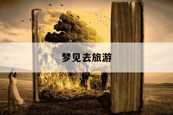 梦见去旅游-梦见去旅游没赶上车-第1张图片-学习推荐网