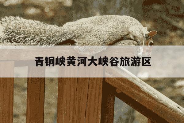 青铜峡黄河大峡谷旅游区-青铜峡黄河大峡谷旅游区的介绍-第1张图片-学习推荐网