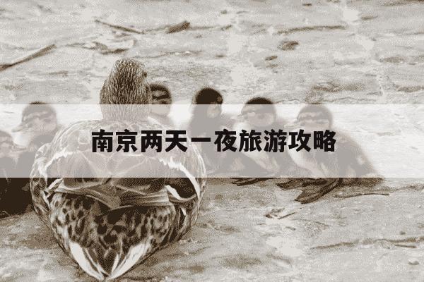 南京两天一夜旅游攻略-南京两天一夜旅游攻略带娃-第1张图片-学习推荐网