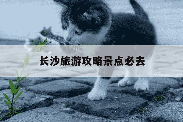 长沙旅游攻略景点必去-长沙旅游攻略景点必去小吃街-第1张图片-学习推荐网 长沙旅游攻略景点必去-长沙旅游攻略景点必去小吃街-第1张图片-学习推荐网