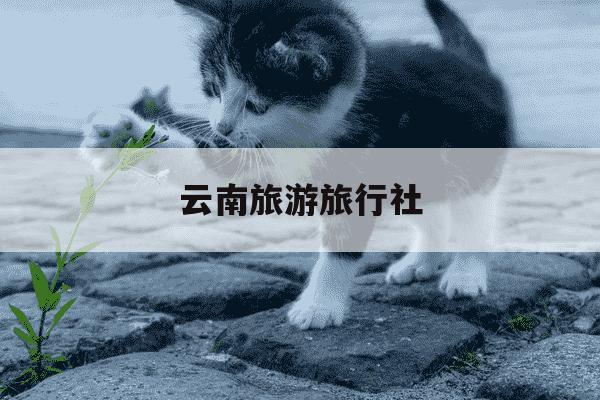 云南旅游旅行社-云南旅游旅行社保险必须买吗-第1张图片-学习推荐网 云南旅游旅行社-云南旅游旅行社保险必须买吗-第1张图片-学习推荐网