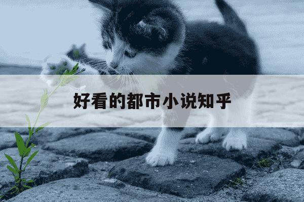 好看的都市小说知乎-有哪些好看的都市小说值得推荐?-第1张图片-学习推荐网 好看的都市小说知乎-有哪些好看的都市小说值得推荐?-第1张图片-学习推荐网