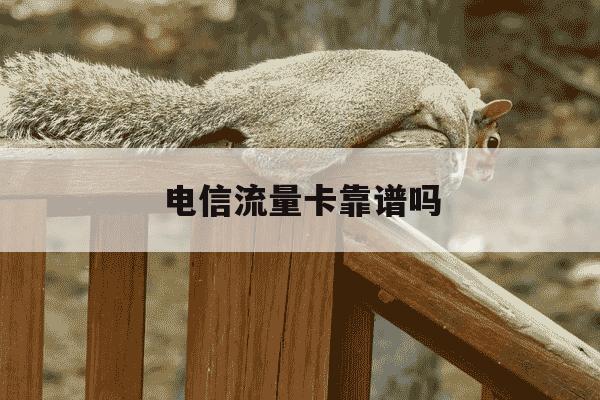 电信流量卡靠谱吗-为什么营业厅买不到流量卡-第1张图片-学习推荐网