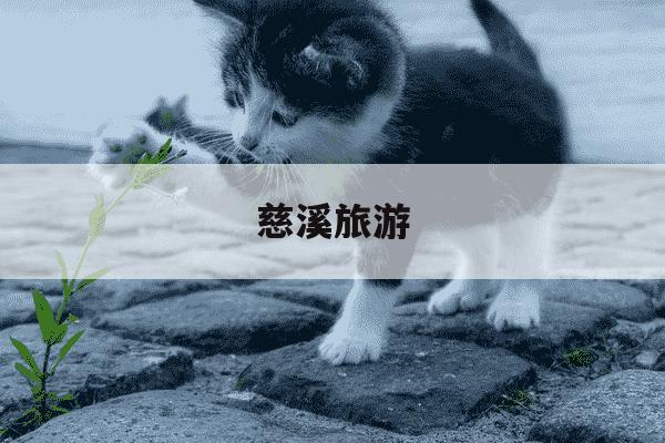 慈溪旅游-慈溪旅游景点排行榜前十名-第1张图片-学习推荐网