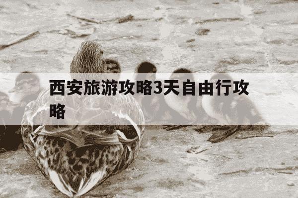 西安旅游攻略3天自由行攻略-西安旅游攻略3天自由行攻略 马蜂窝-第1张图片-学习推荐网