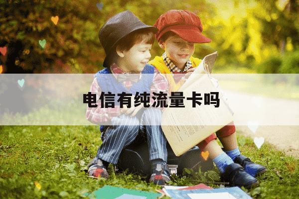 电信有纯流量卡吗-电信有没有专门的纯流量卡-第1张图片-学习推荐网
