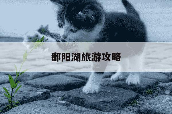 鄱阳湖旅游攻略-鄱阳湖怎么玩-第1张图片-学习推荐网 鄱阳湖旅游攻略-鄱阳湖怎么玩-第1张图片-学习推荐网