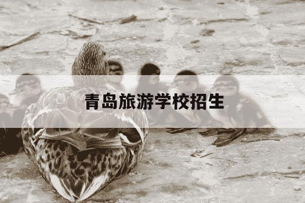 青岛旅游学校招生-青岛旅游学校招生标准-第1张图片-学习推荐网