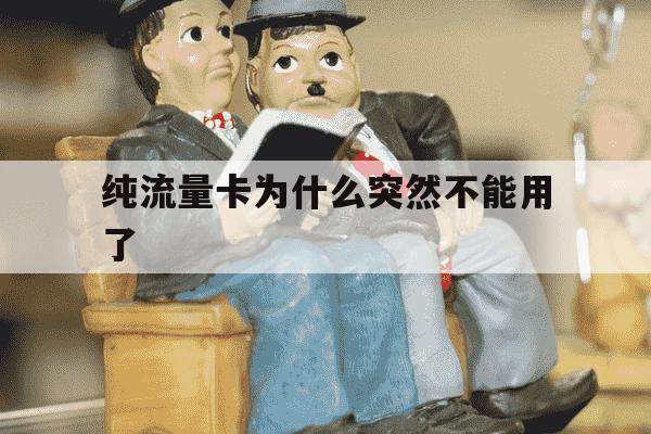 纯流量卡为什么突然不能用了-纯流量卡怎么用着不能用了-第1张图片-学习推荐网 纯流量卡为什么突然不能用了-纯流量卡怎么用着不能用了-第1张图片-学习推荐网