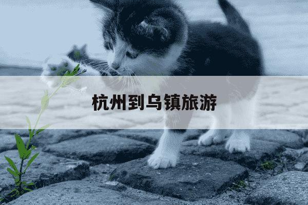 杭州到乌镇旅游-杭州到乌镇旅游多少钱-第1张图片-学习推荐网