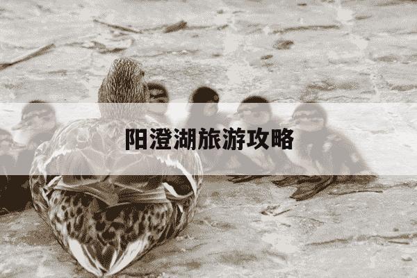 阳澄湖旅游攻略-阳澄湖景区旅游景点-第1张图片-学习推荐网 阳澄湖旅游攻略-阳澄湖景区旅游景点-第1张图片-学习推荐网