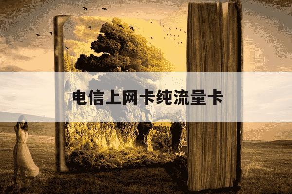 电信上网卡纯流量卡-电信上网卡纯流量卡网上办理-第1张图片-学习推荐网