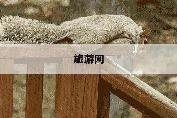 旅游网-旅游网站建设-第1张图片-学习推荐网 旅游网-旅游网站建设-第1张图片-学习推荐网