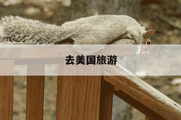 去美国旅游-去美国旅游签证怎么办理-第1张图片-学习推荐网