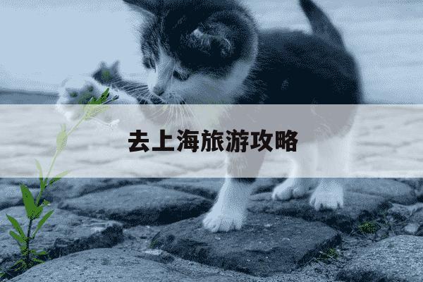 去上海旅游攻略-一个人去上海旅游攻略-第1张图片-学习推荐网