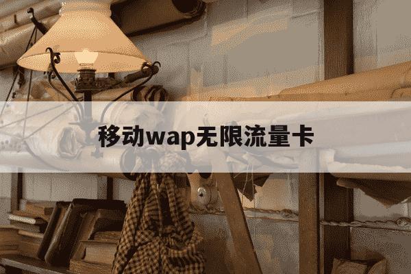 移动wap无限流量卡-移动无限流量卡不限速纯上网卡-第1张图片-学习推荐网 移动wap无限流量卡-移动无限流量卡不限速纯上网卡-第1张图片-学习推荐网