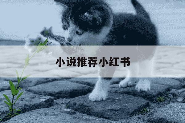 小说推荐小红书-小说小红书视频-第1张图片-学习推荐网 小说推荐小红书-小说小红书视频-第1张图片-学习推荐网