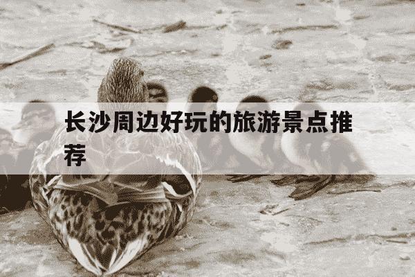 长沙周边好玩的旅游景点推荐-长沙一日游最佳攻略-第1张图片-学习推荐网 长沙周边好玩的旅游景点推荐-长沙一日游最佳攻略-第1张图片-学习推荐网