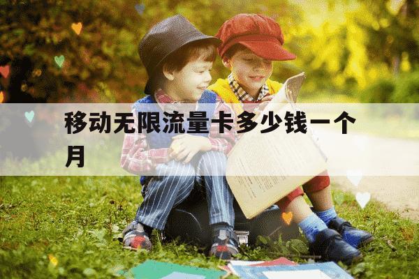 移动无限流量卡多少钱一个月-移动无限流量卡价格-第1张图片-学习推荐网