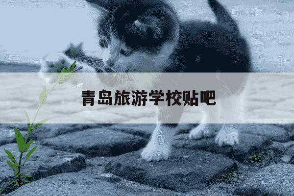 青岛旅游学校贴吧-烟台旅游学校官网-第1张图片-学习推荐网