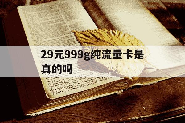 29元999g纯流量卡是真的吗-29元9999g流量可信吗-第1张图片-学习推荐网 29元999g纯流量卡是真的吗-29元9999g流量可信吗-第1张图片-学习推荐网
