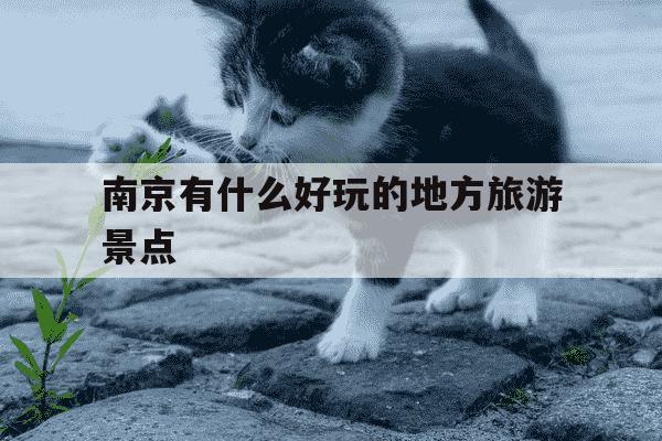 南京有什么好玩的地方旅游景点-南京有什么好玩的地方旅游景点推荐-第1张图片-学习推荐网 南京有什么好玩的地方旅游景点-南京有什么好玩的地方旅游景点推荐-第1张图片-学习推荐网