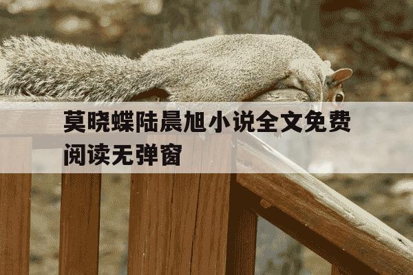 莫晓蝶陆晨旭小说全文免费阅读无弹窗-莫晓蝶陆晨旭小说961集全文免费阅读-第1张图片-学习推荐网 莫晓蝶陆晨旭小说全文免费阅读无弹窗-莫晓蝶陆晨旭小说961集全文免费阅读-第1张图片-学习推荐网