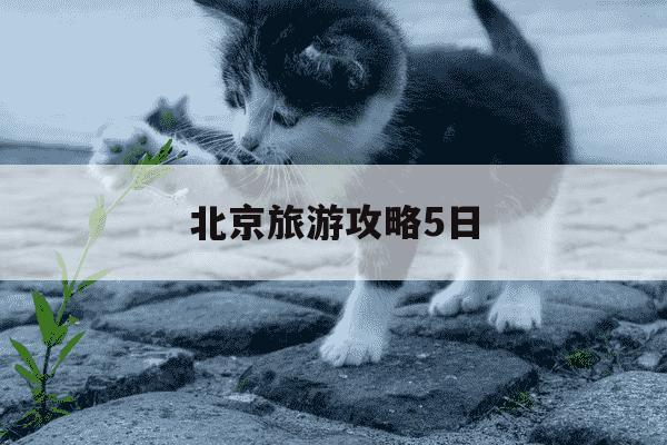 北京旅游攻略5日-旅游北京攻略五日-第1张图片-学习推荐网 北京旅游攻略5日-旅游北京攻略五日-第1张图片-学习推荐网